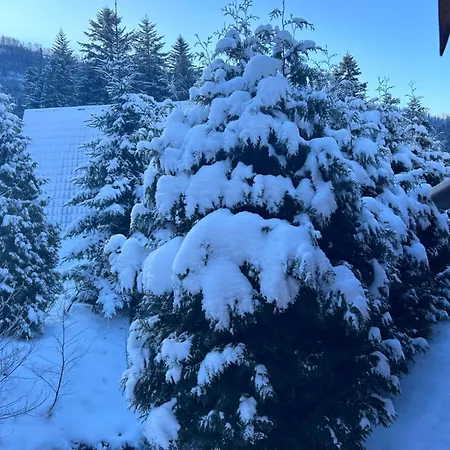 Σπίτι διακοπών Szczyrkowskie Historie