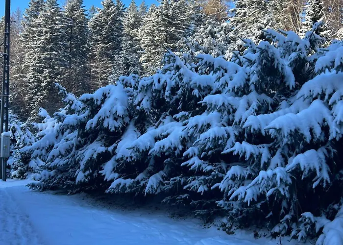 Сasa de vacaciones Szczyrkowskie Historie Szczyrk