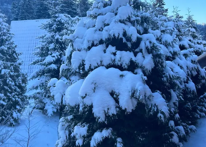 Prázdninový dům Szczyrkowskie Historie