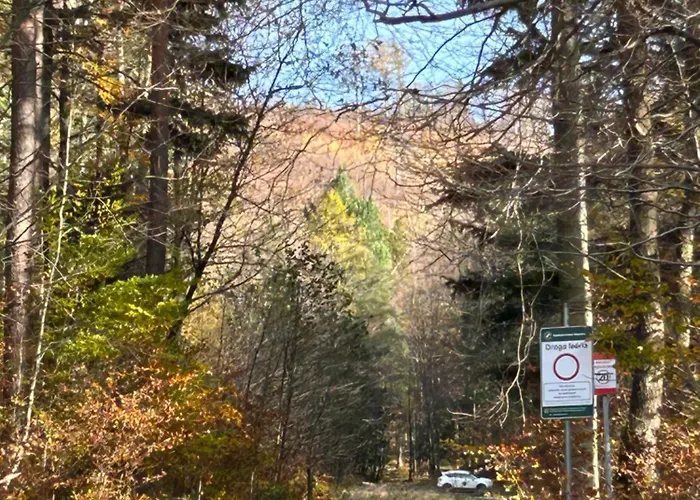 Szczyrkowskie Historie * شتوروك